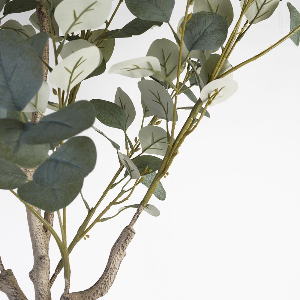 Eucalyptus Tree 140cm