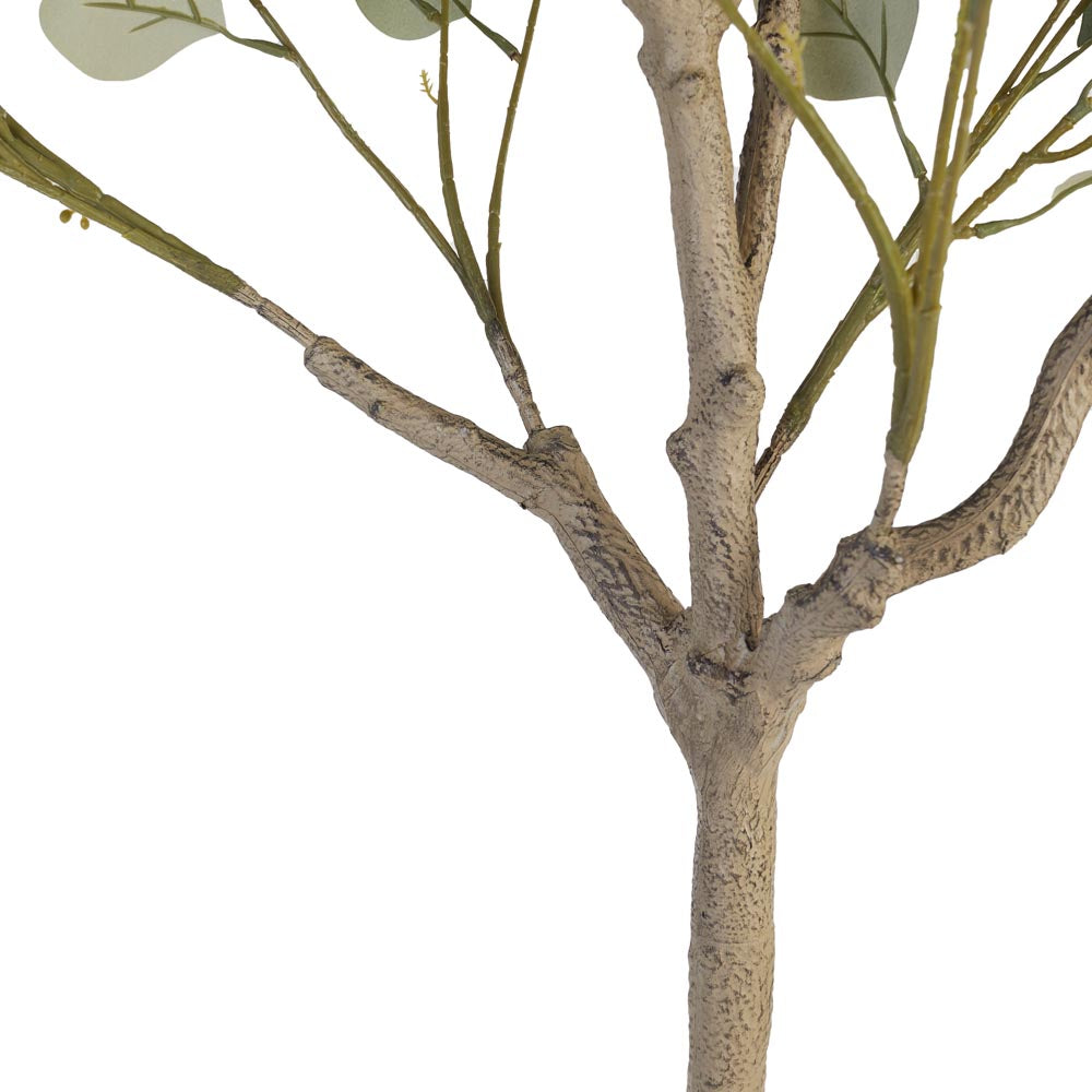 Eucalyptus Tree 140cm