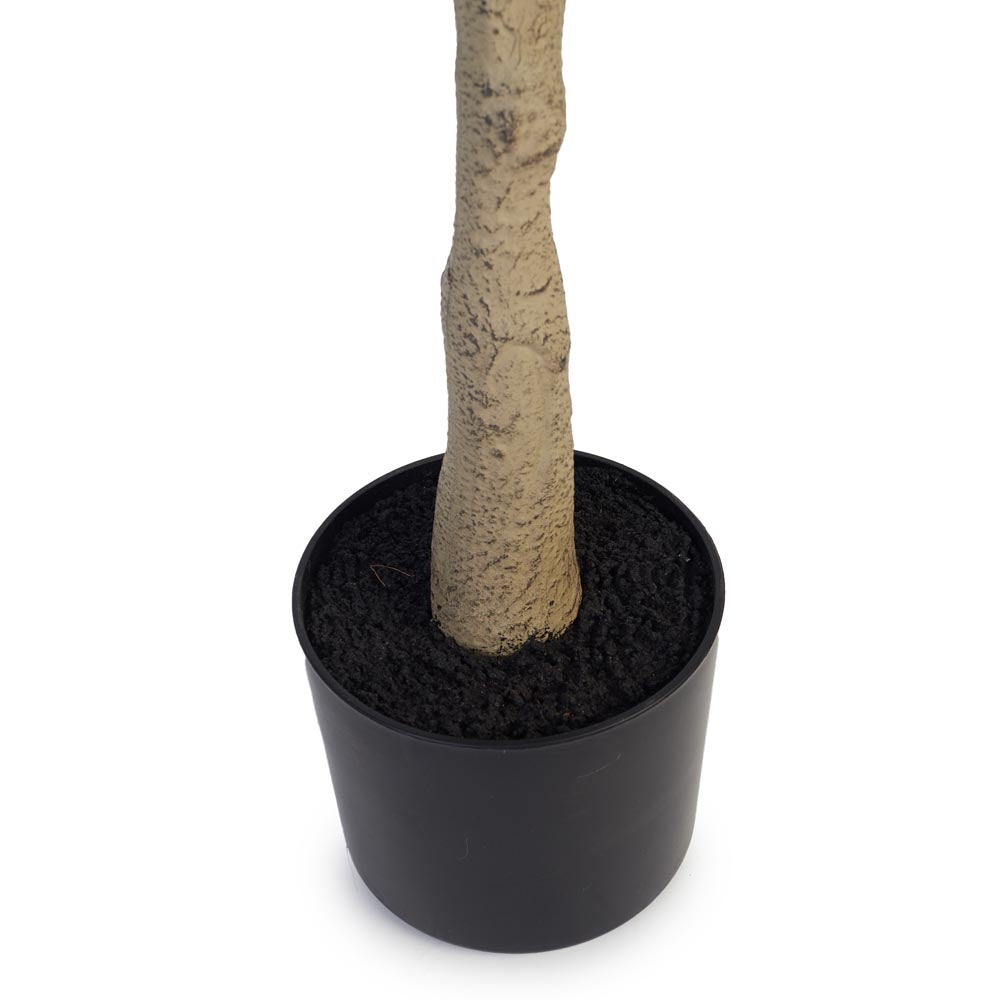 Eucalyptus Tree 140cm