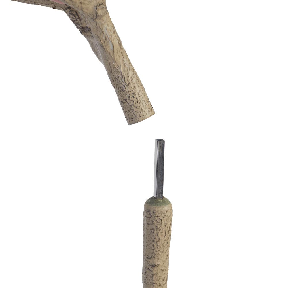 Eucalyptus Tree 140cm