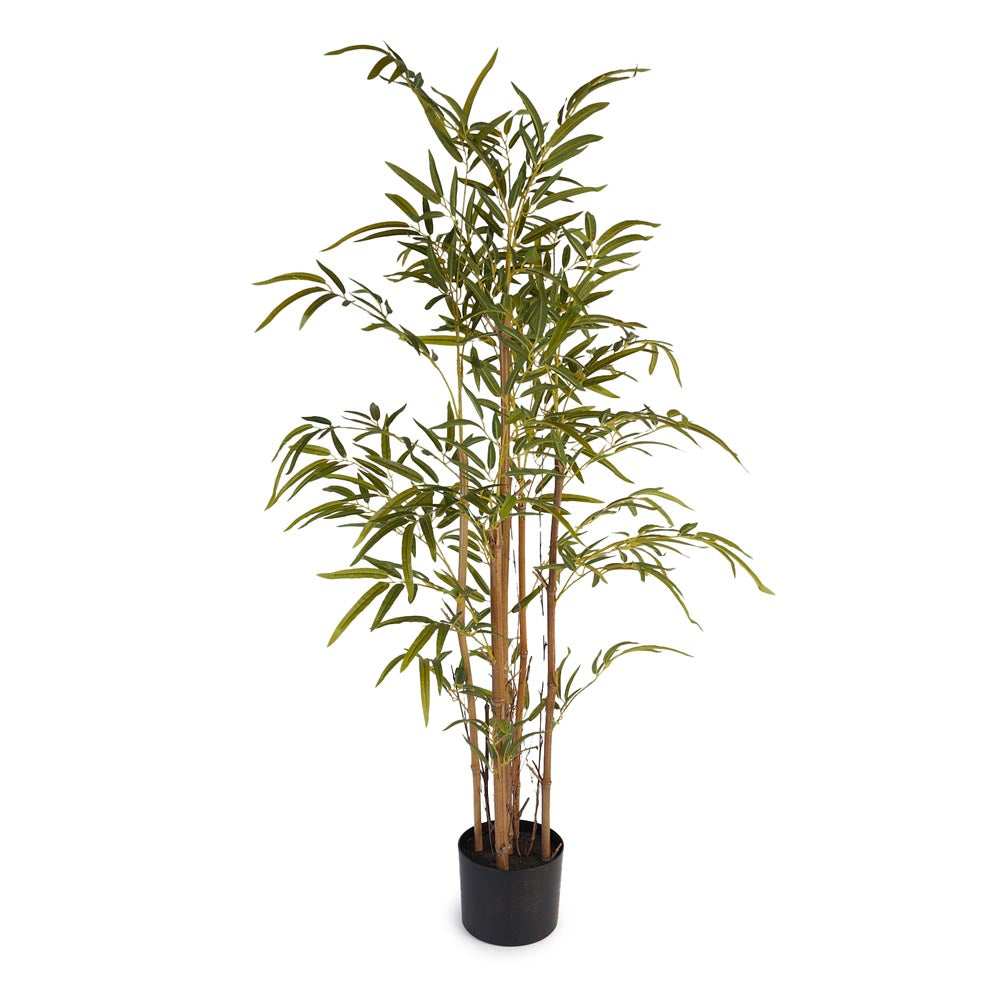 Bamboo 120cm