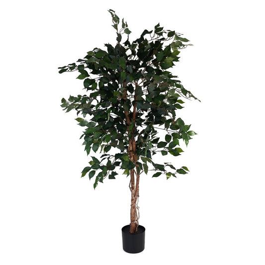 Ficus Tree 160cm