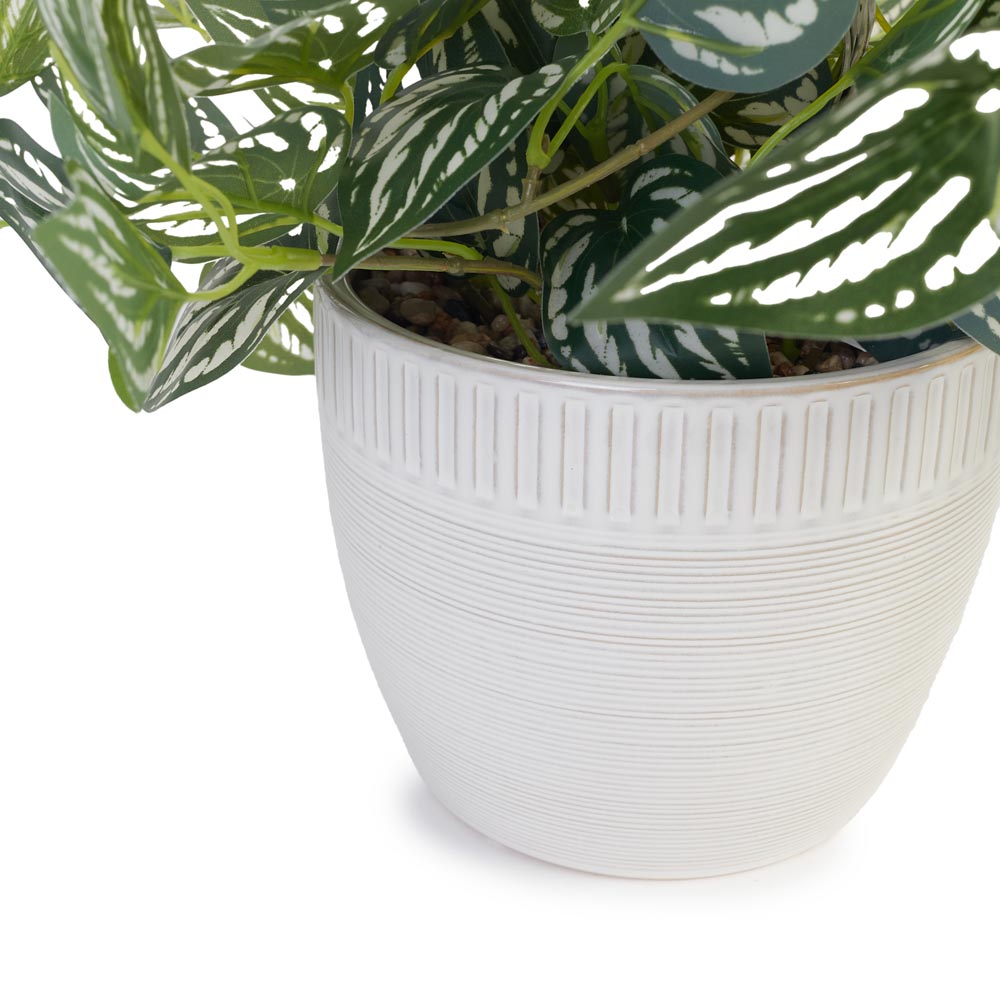 Trailing Ivy in Ceramic Pot Ø36x27cm