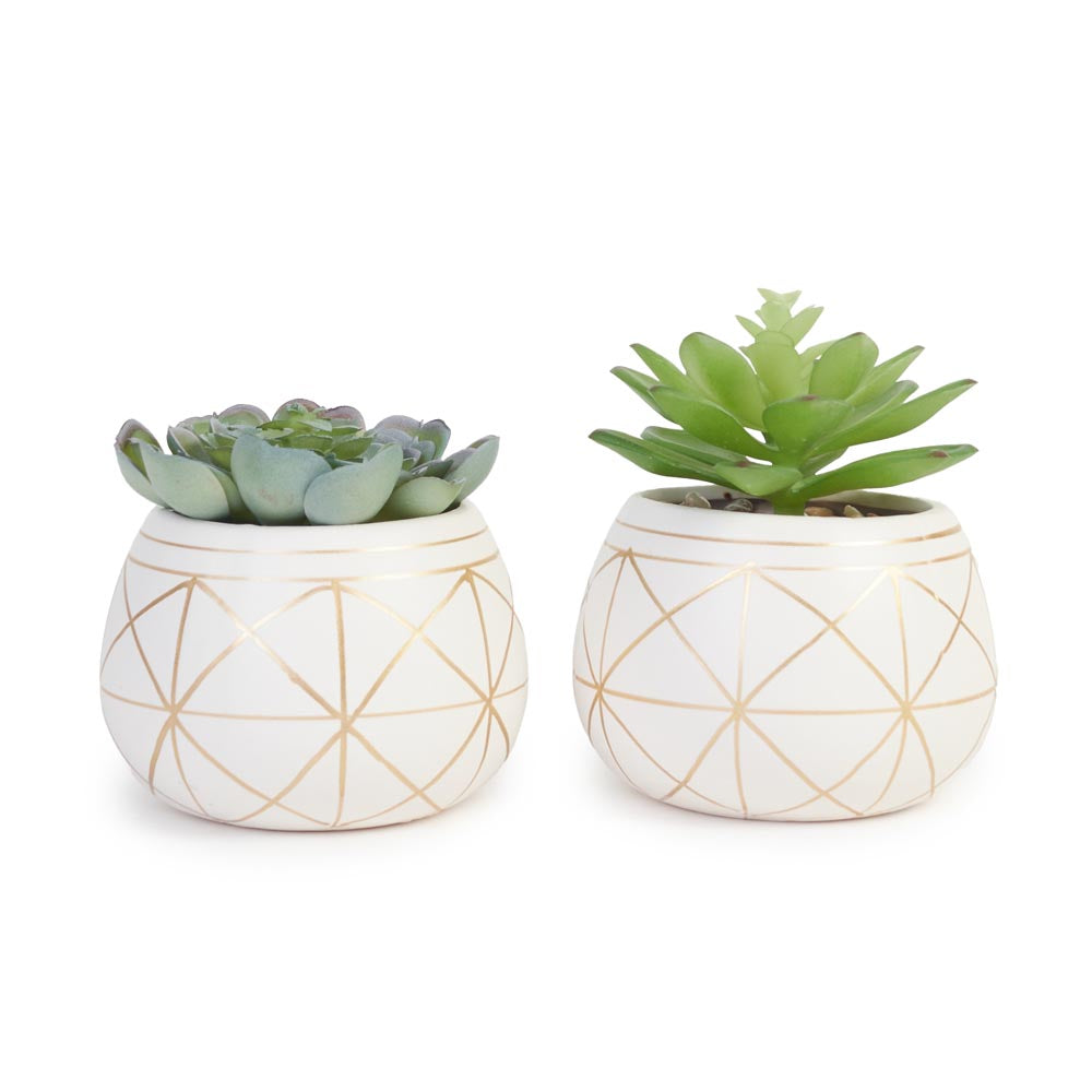 Set of 2 Faux Succulents in Geometric Pots Ø10x12cm