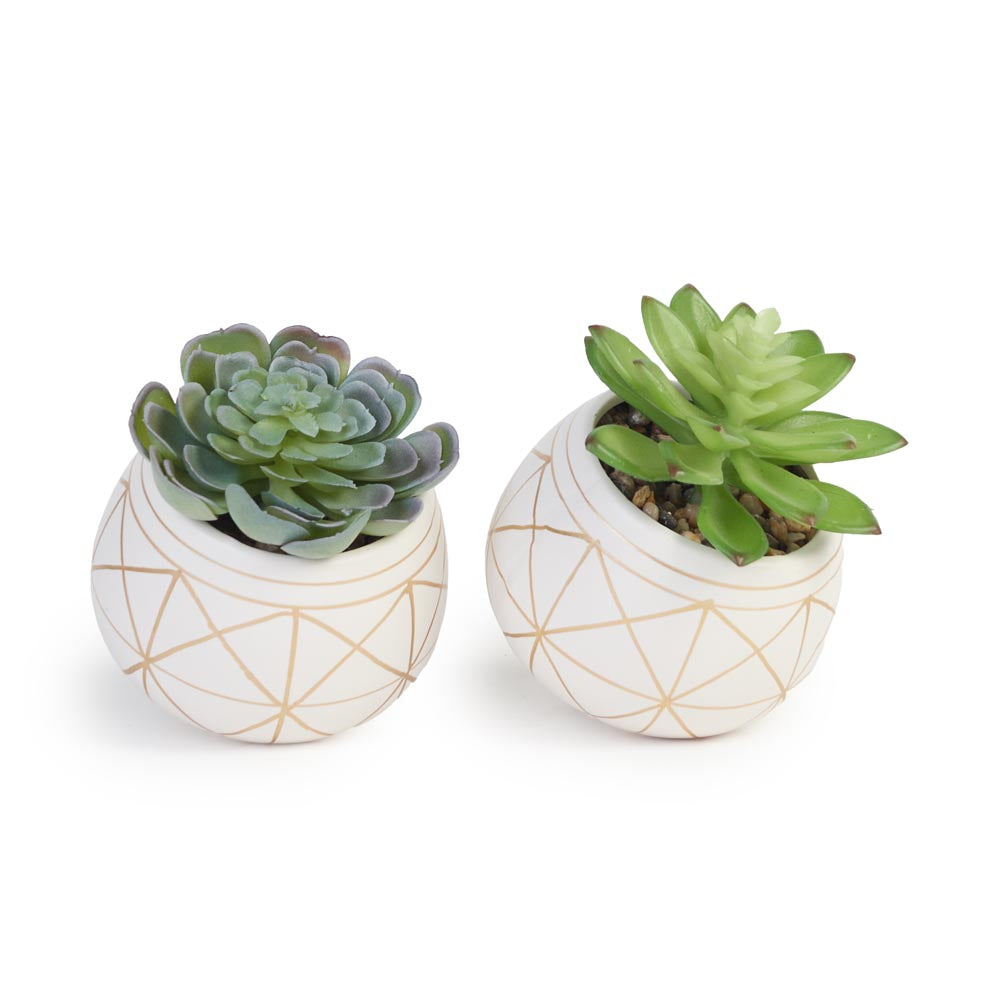 Set of 2 Faux Succulents in Geometric Pots Ø10x12cm