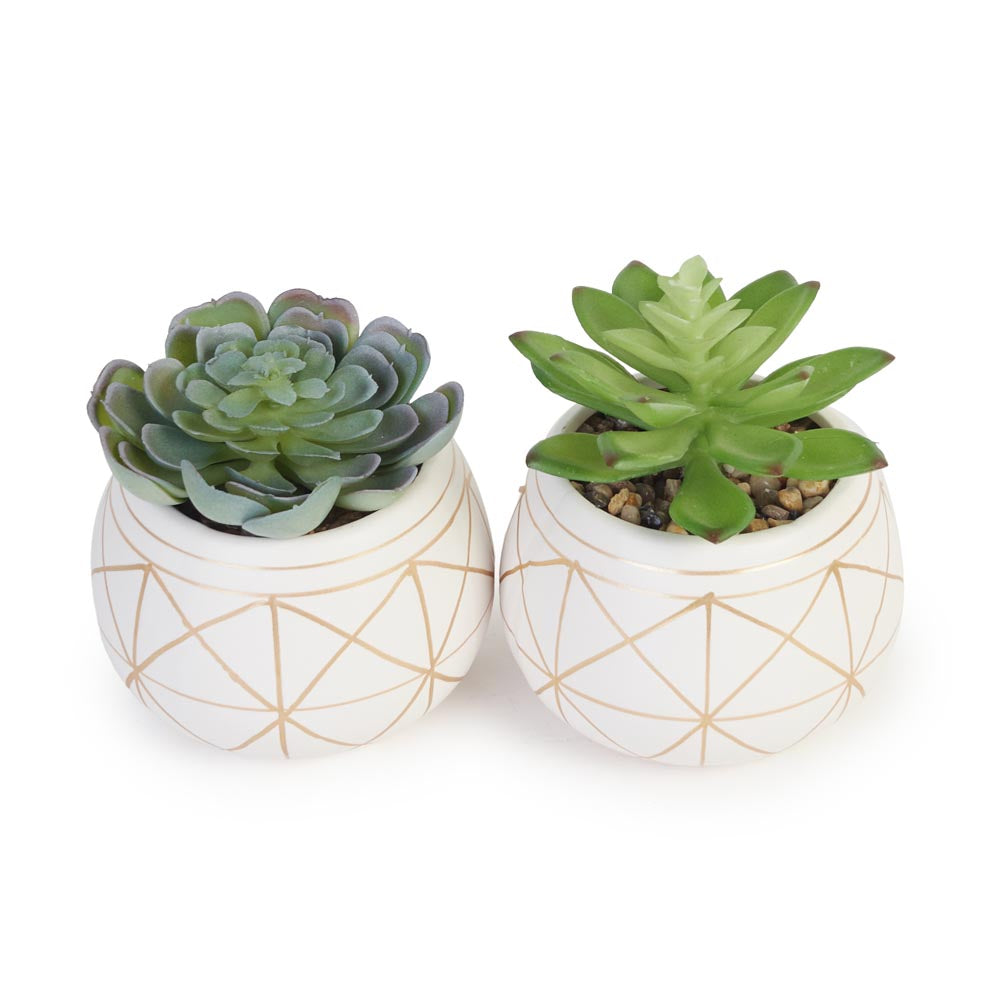 Set of 2 Faux Succulents in Geometric Pots Ø10x12cm