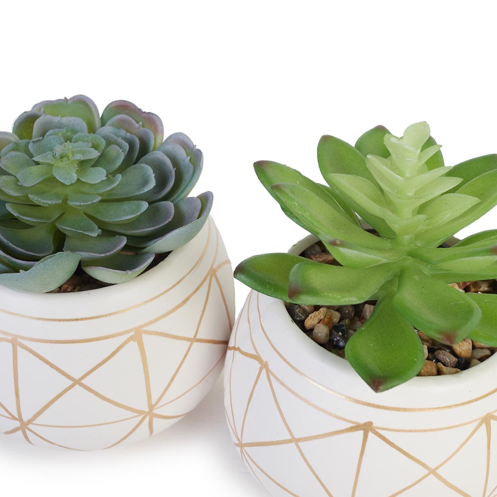 Set of 2 Faux Succulents in Geometric Pots Ø10x12cm