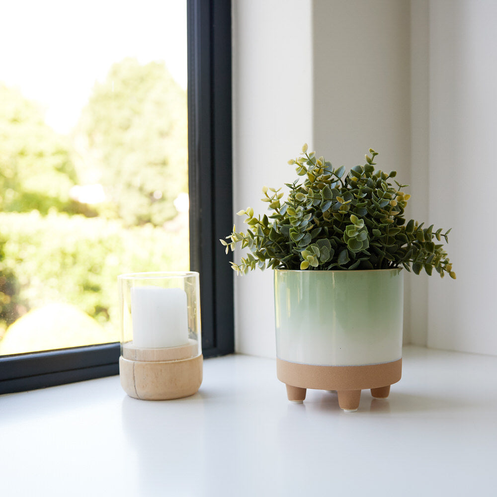 Greenery in Minimalist Ceramic Pot Ø24x33cm