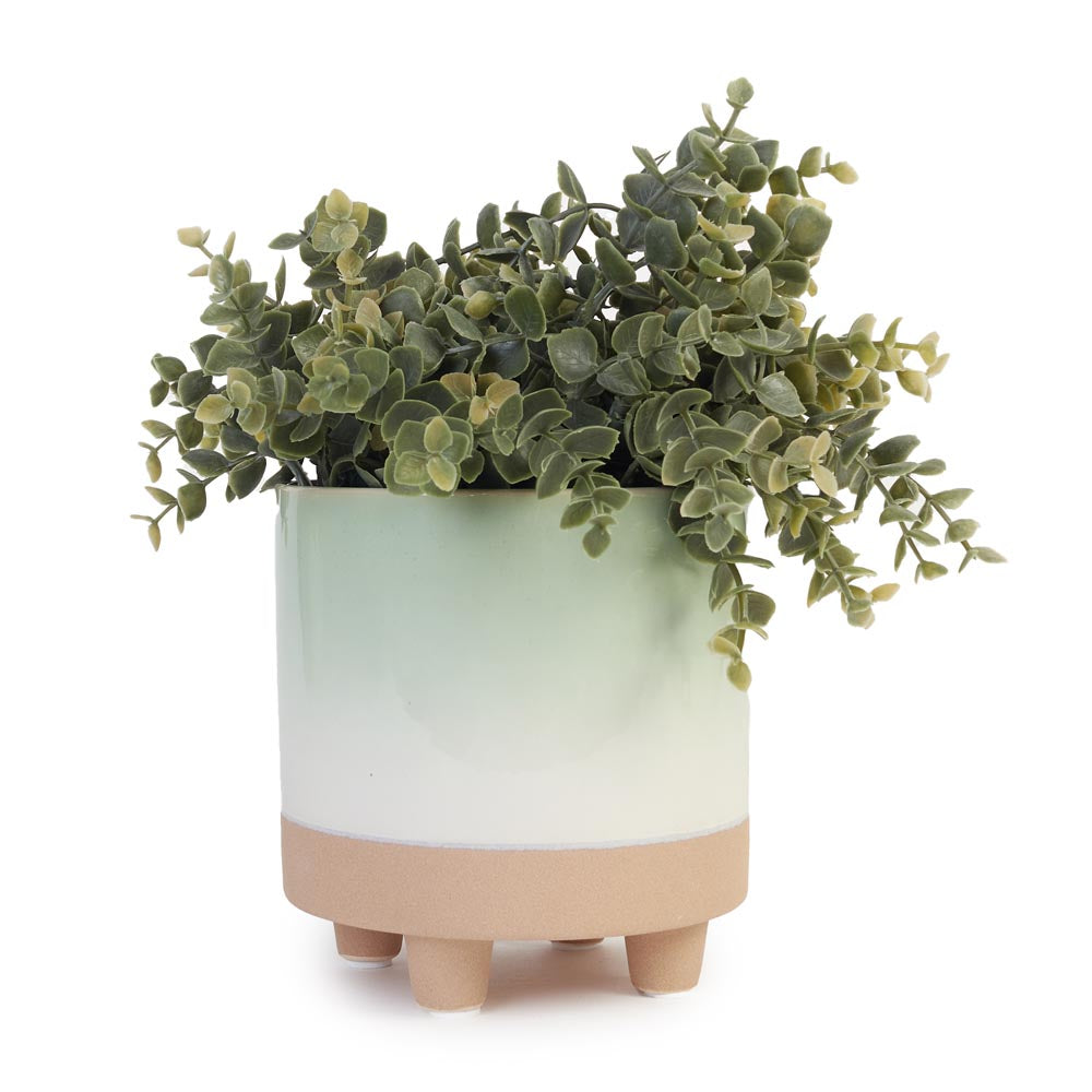 Greenery in Minimalist Ceramic Pot Ø24x33cm
