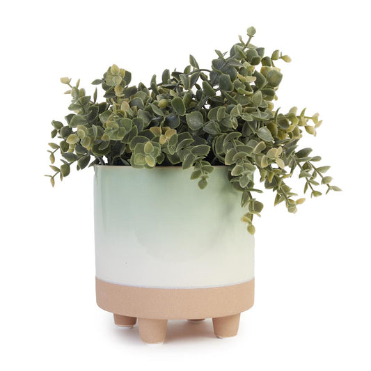 Greenery in Minimalist Ceramic Pot Ø24x33cm