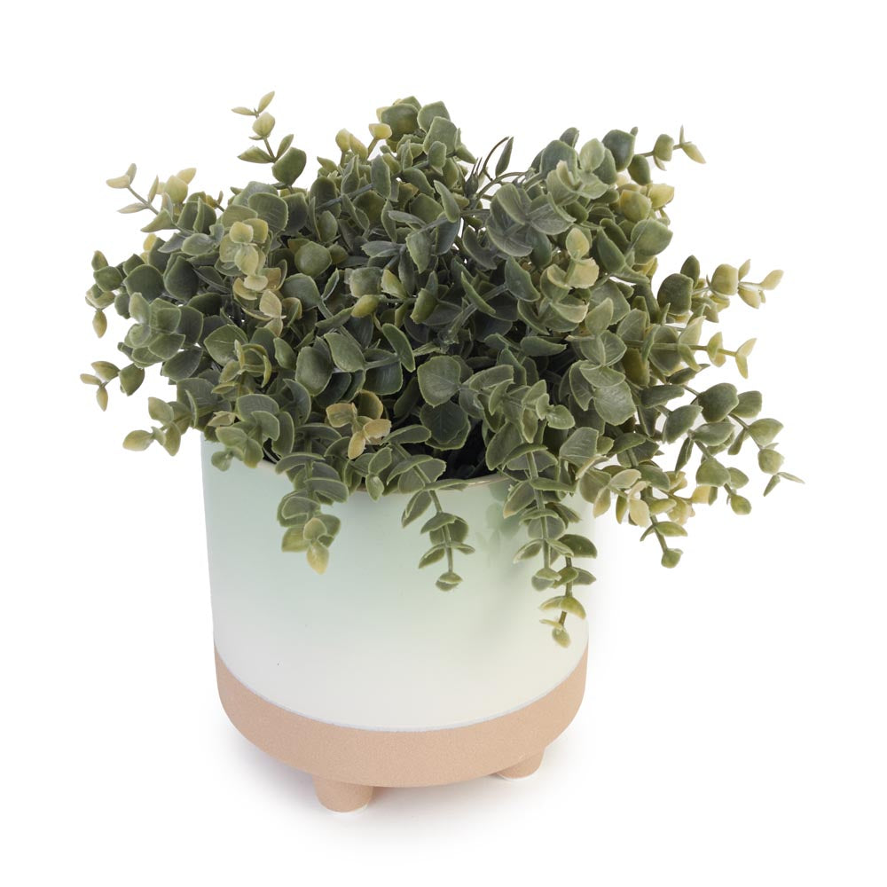 Greenery in Minimalist Ceramic Pot Ø24x33cm