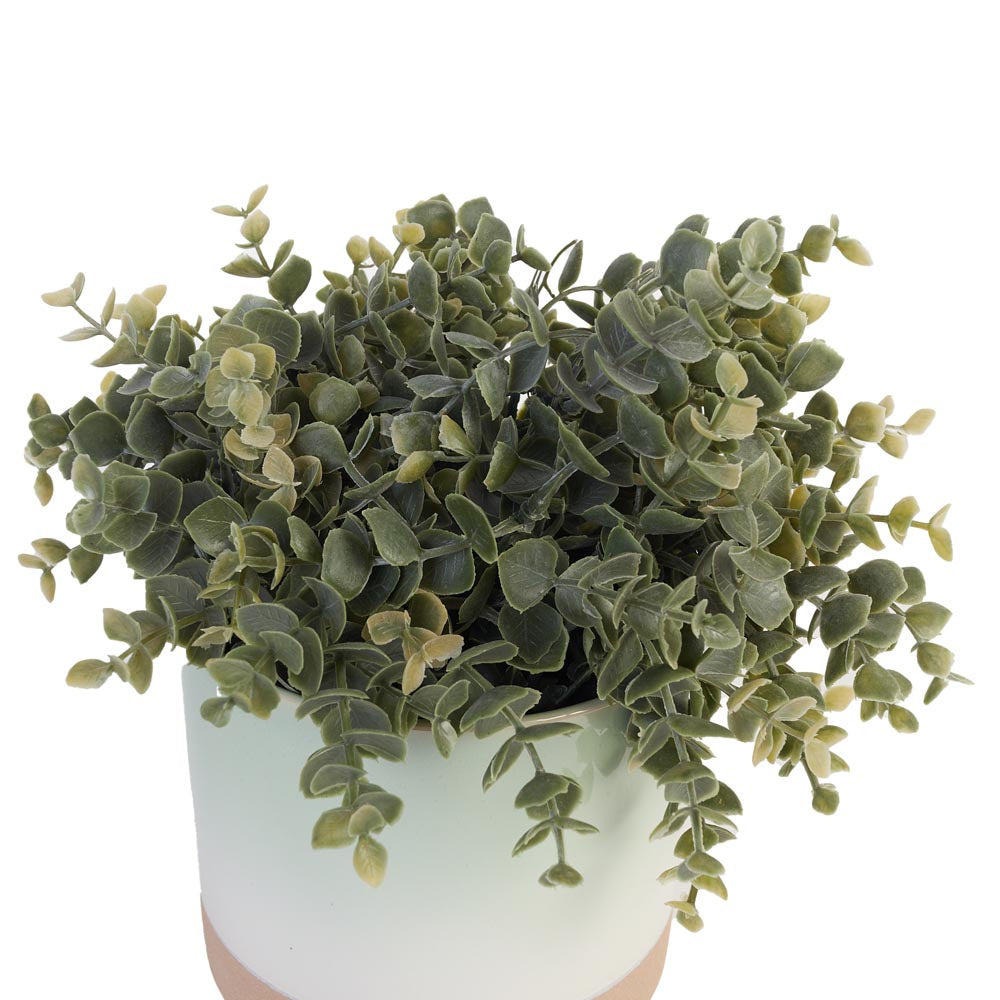 Greenery in Minimalist Ceramic Pot Ø24x33cm