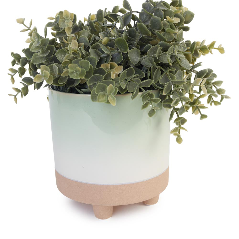 Greenery in Minimalist Ceramic Pot Ø24x33cm