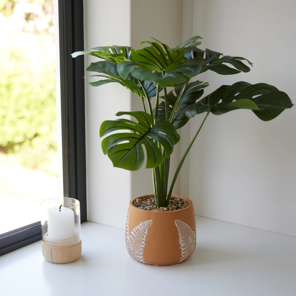Monstera in Fern pattern Pot Ø43x52cm