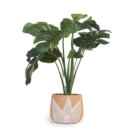 Monstera in Fern pattern Pot Ø43x52cm