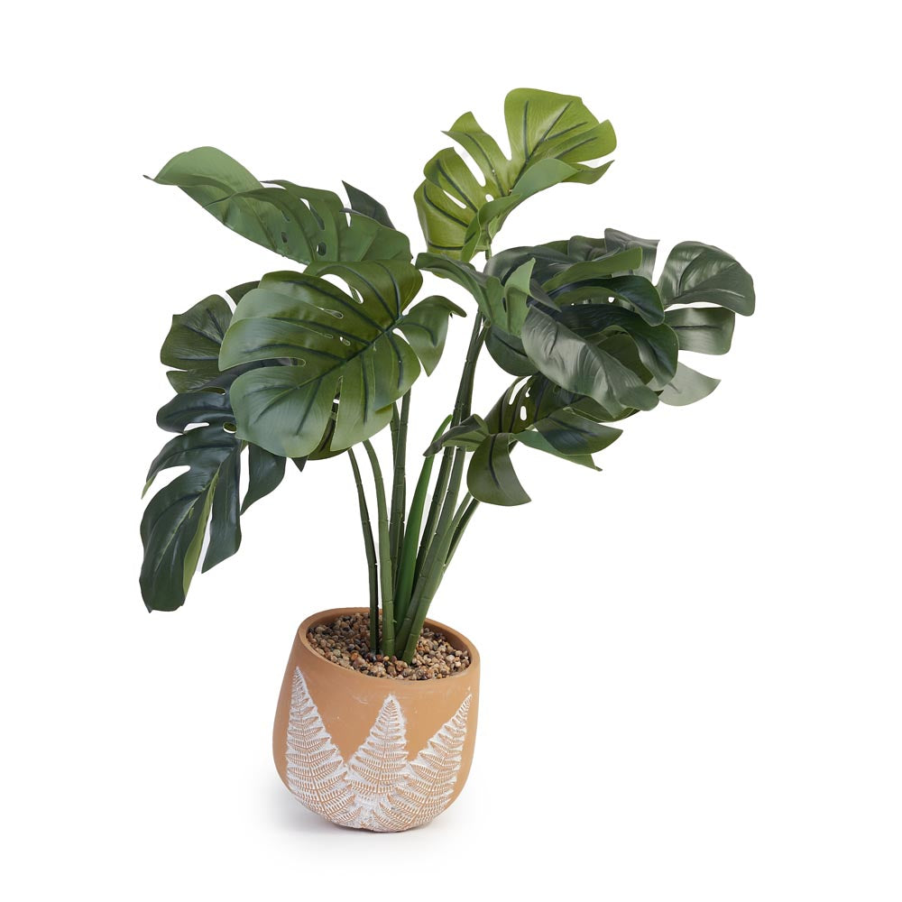 Monstera in Fern pattern Pot Ø43x52cm