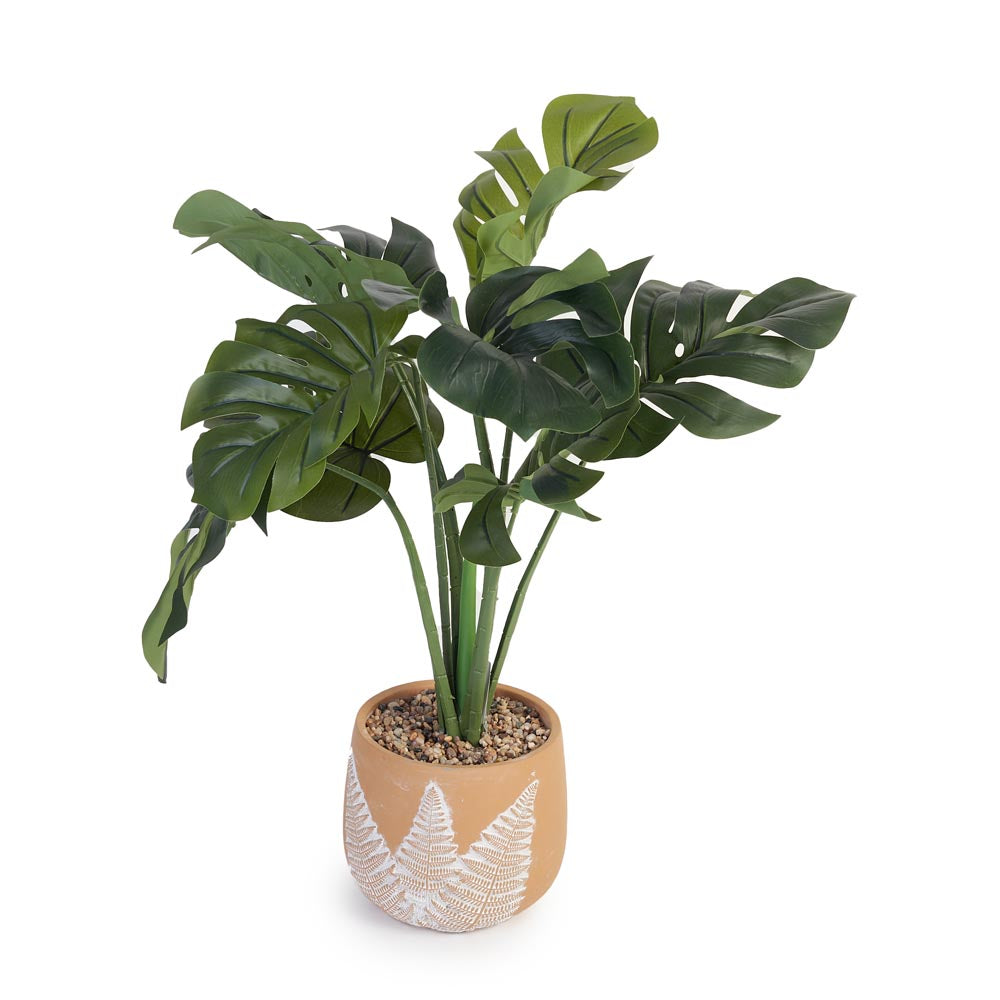 Monstera in Fern pattern Pot Ø43x52cm