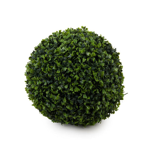 Boxwood 30Cm