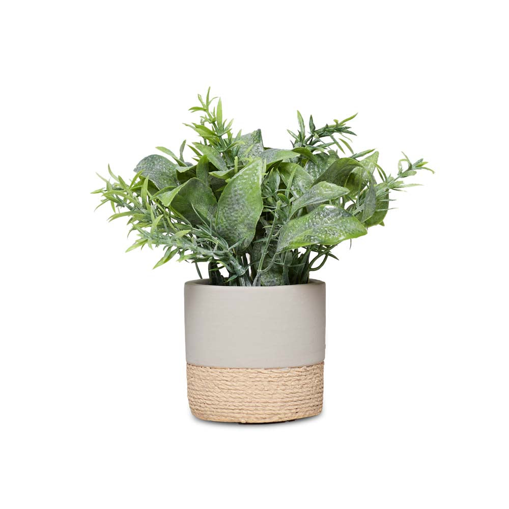 Art Flora Cement Pot 16cm