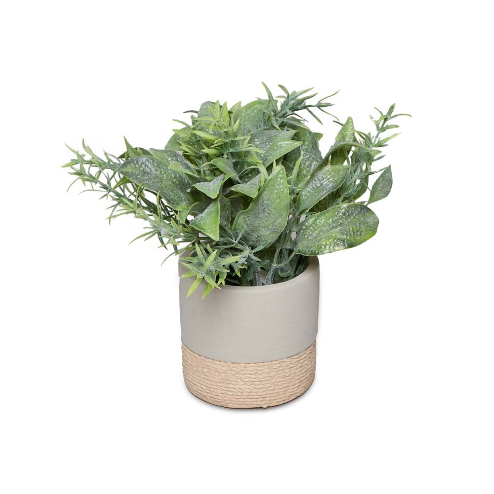 Art Flora Cement Pot 16cm