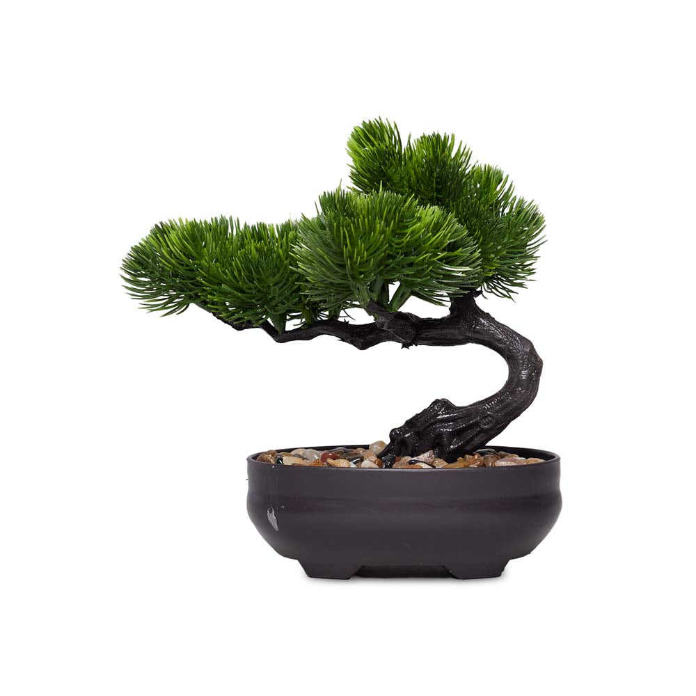 Bonsai Plastic Pot 18cm