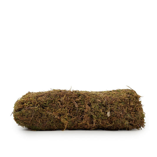 Natural Moss 200G 26X1.5X9