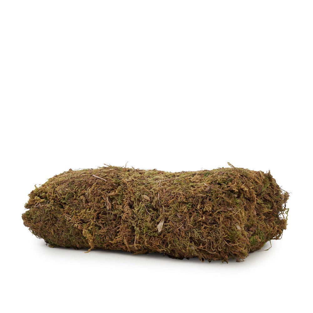 Natural Moss 200G 26X1.5X9