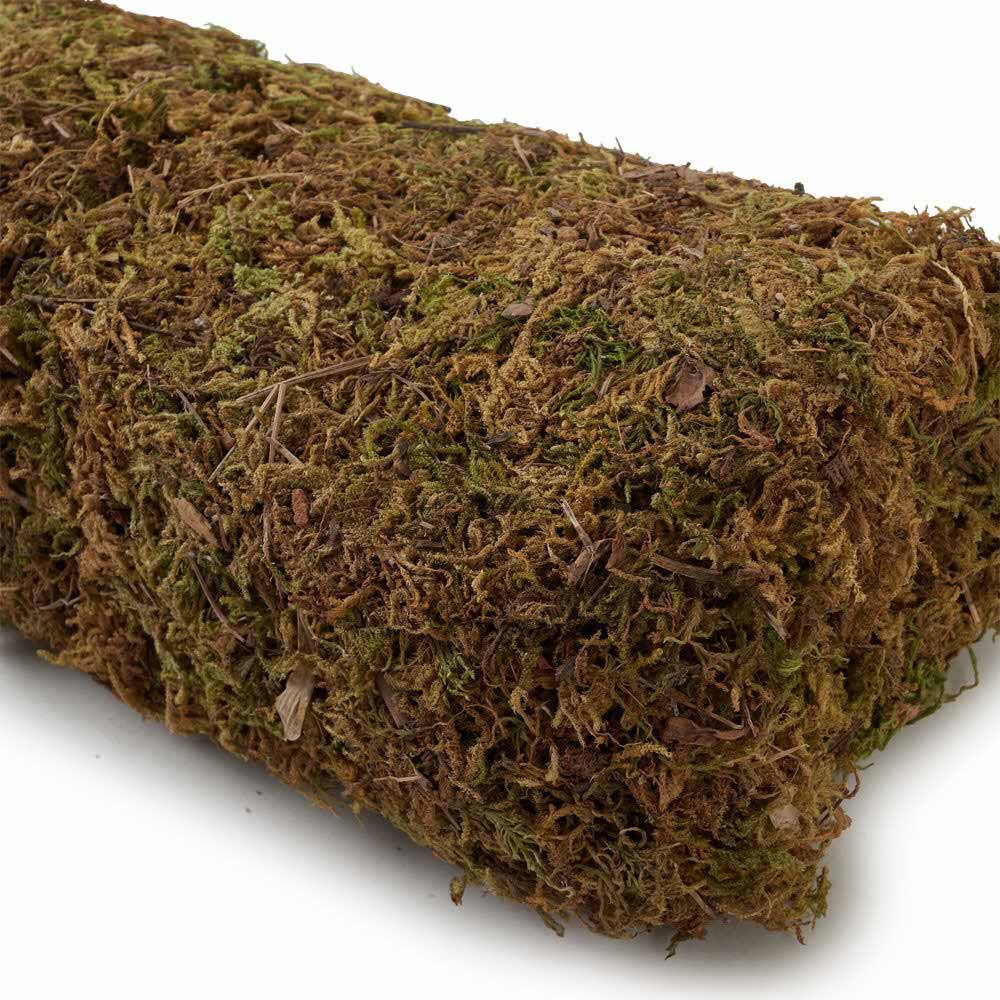 Natural Moss 200G 26X1.5X9